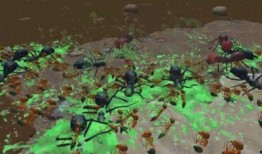 地下蚁国最新爆料,最新爆料揭示神秘蚁群世界