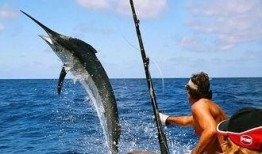 娱乐吃瓜酱钓鱼,揭秘钓鱼圈的那些事儿